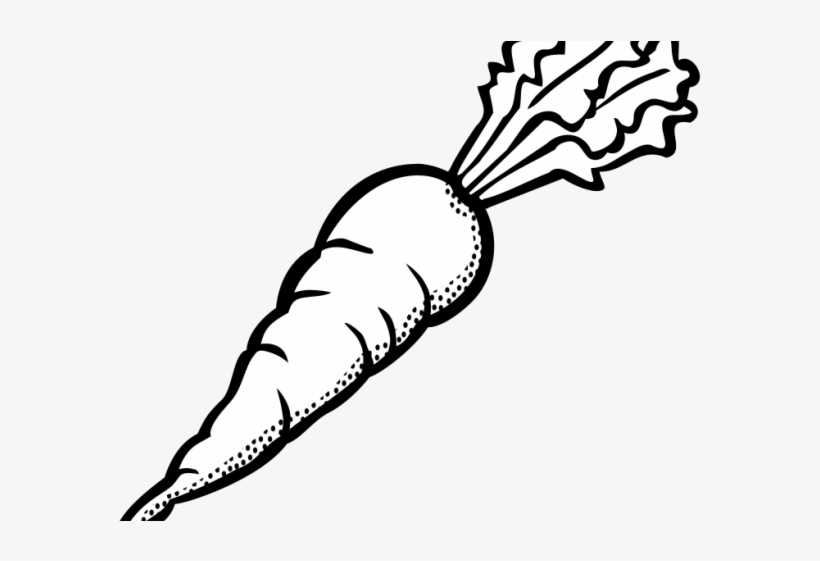 Carrot Clipart Black And White - Clip Art Carrot Black And White, transparent png #8206691