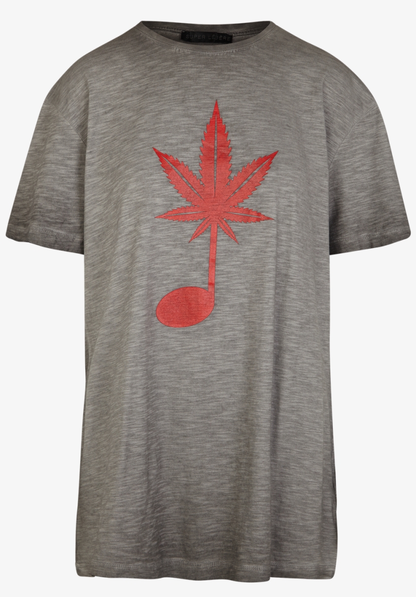 Maple Leaf, transparent png #8207153