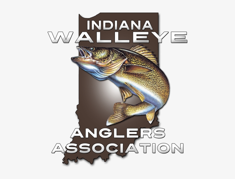 Walleye Logo, transparent png #8207402