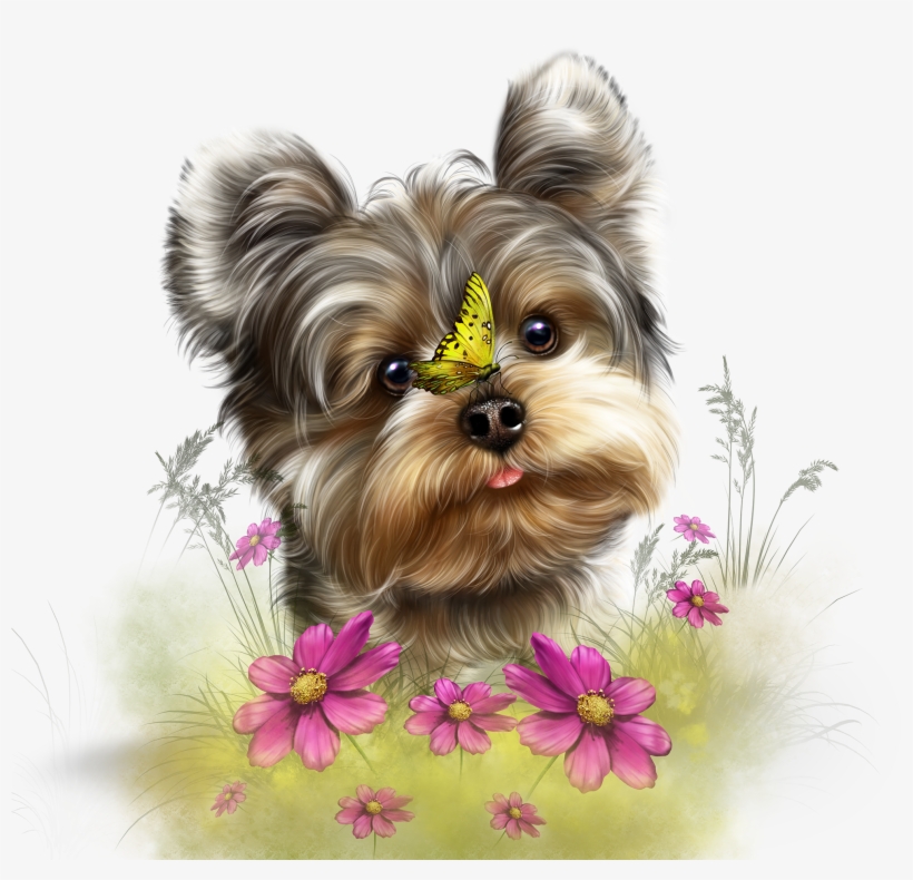 Fairy Yorkie And Butterflies - Gifs De Buenas Noches Y Buenos Dias, transparent png #8208187