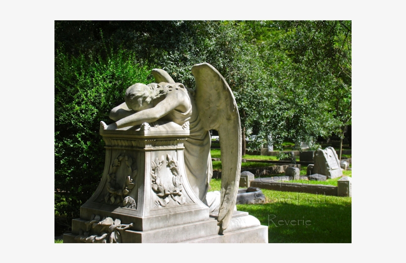 Customers Also Considered - Statue, transparent png #8208751