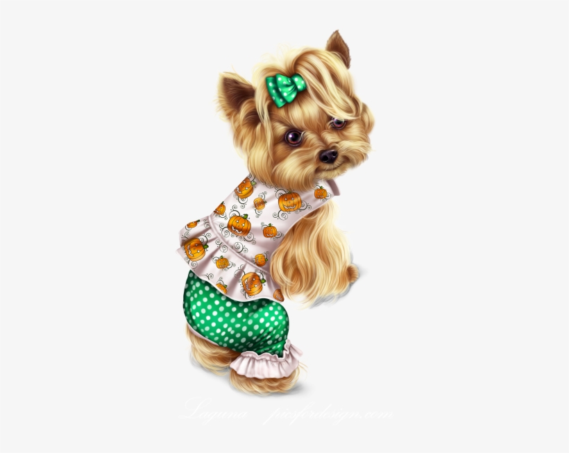 Little Pumpkin Yorkie - Yorkshire Terrier, transparent png #8208877