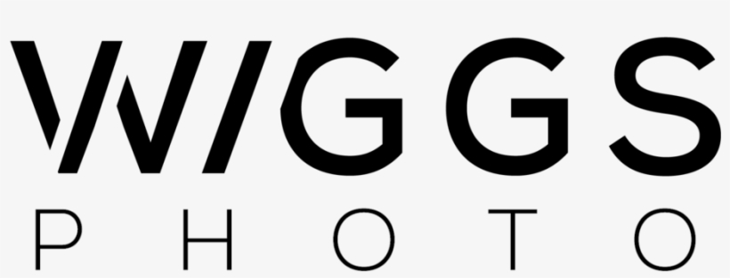 Wiggs Photo, Llc - Circle, transparent png #8209168