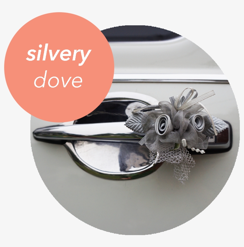 Silvery Dove - Titanium Ring, transparent png #8209843