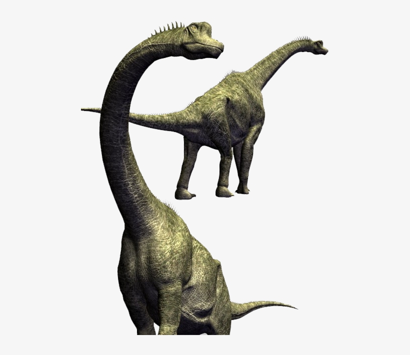 Picture - Brachiosaurus Skeleton 3d Model Download, transparent png #8210302
