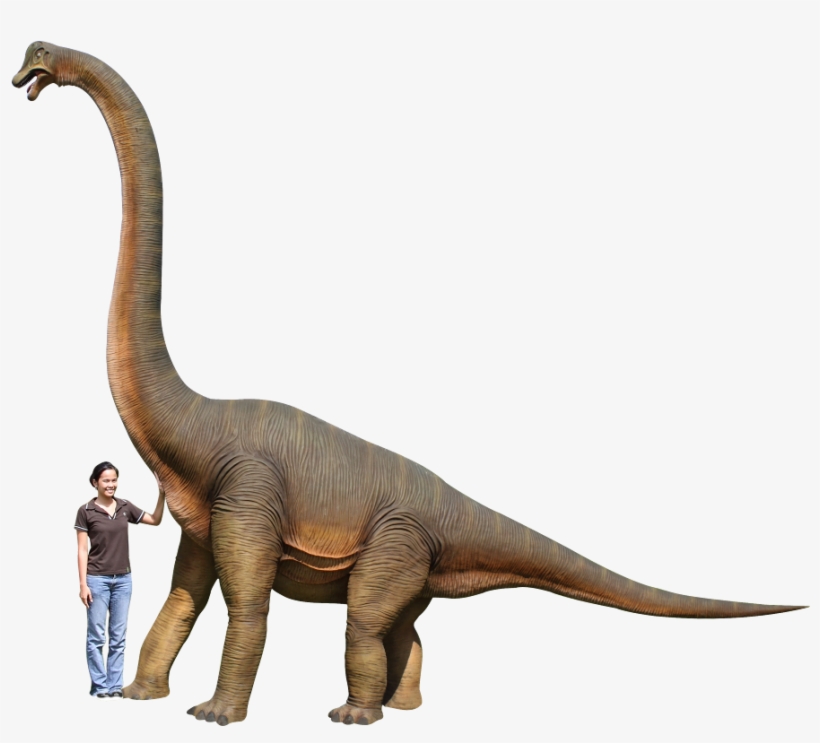 3x3m - Dinosaur Brachiosaurus Hd, transparent png #8210793