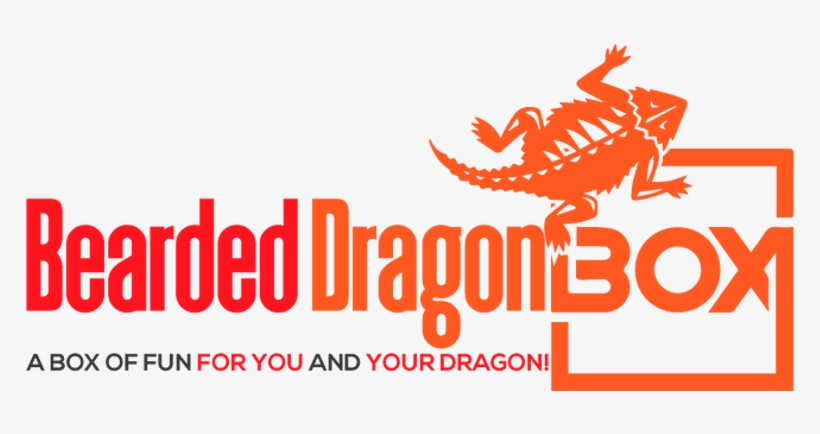 Support@beardeddragonbox - Com - Graphic Design, transparent png #8210878