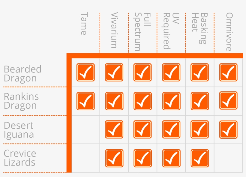 Why Are Some Species So Similar To Look After - Number, transparent png #8211114
