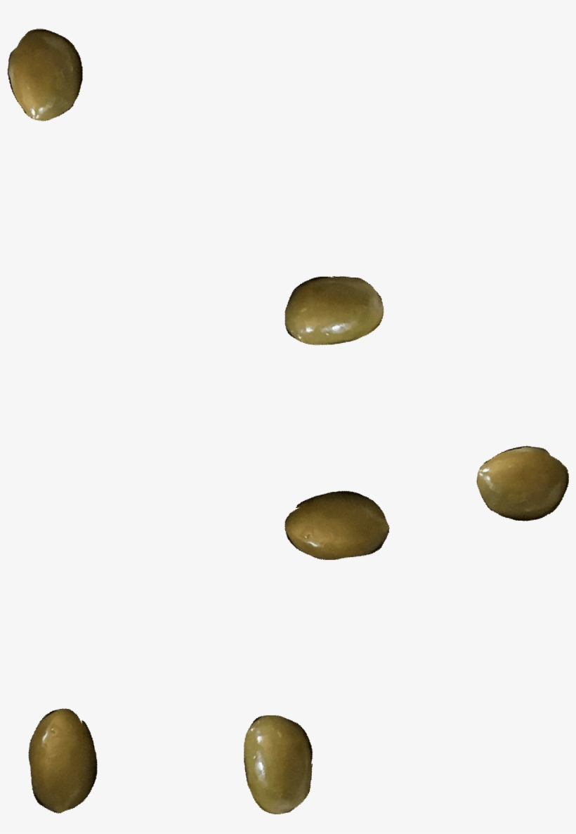 Happy Meal - Circle, transparent png #8211151