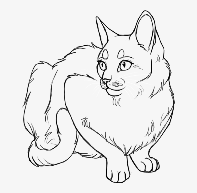 Line Drawing Cat Face - Base Cat Art, transparent png #8212238