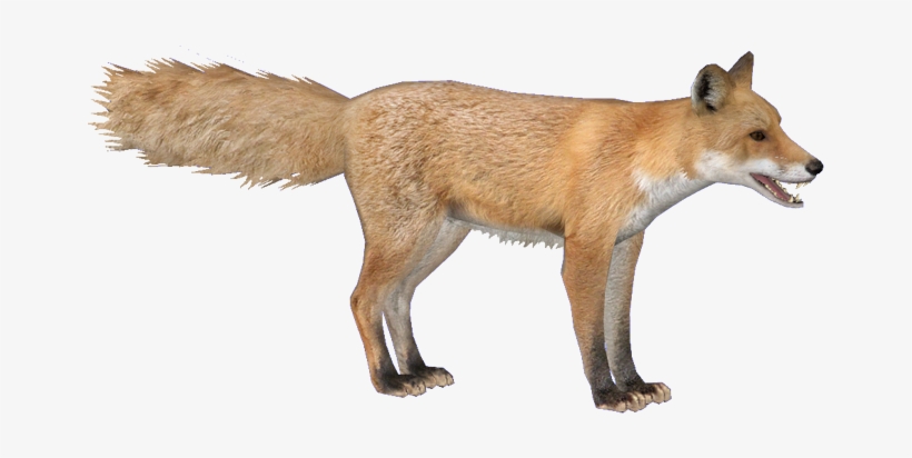 Wiki, transparent png #8214935