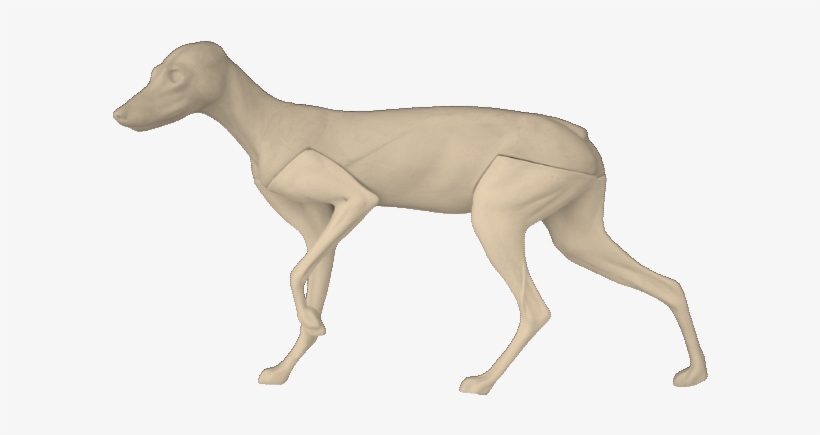 Red Fox F6 - Longdog, transparent png #8215914