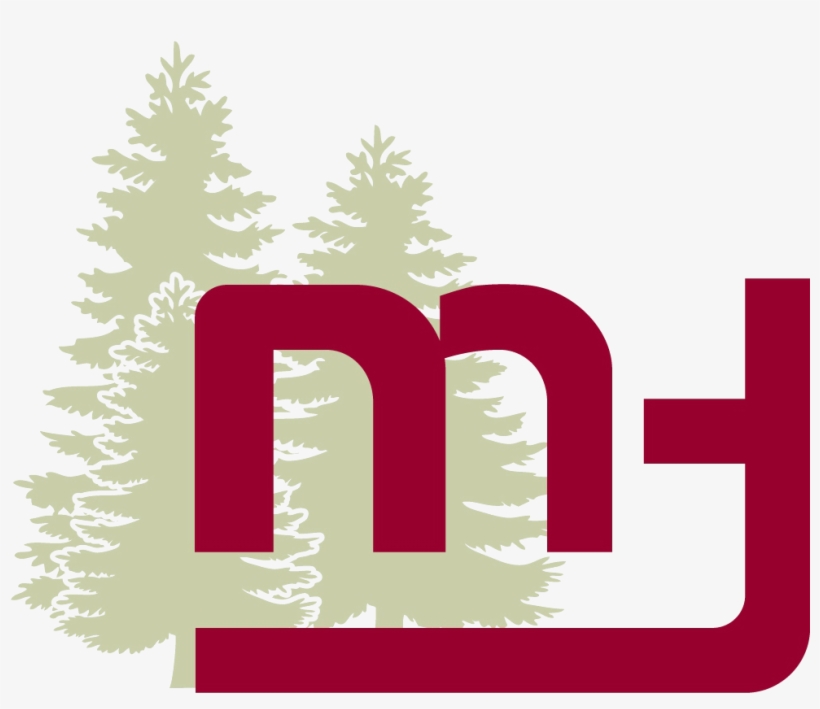 Welcome To Our Online Permit Application - Pine Tree Vector Png, transparent png #8216898