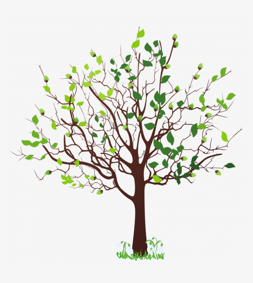 4 Seasons Tree Png, transparent png #8216900