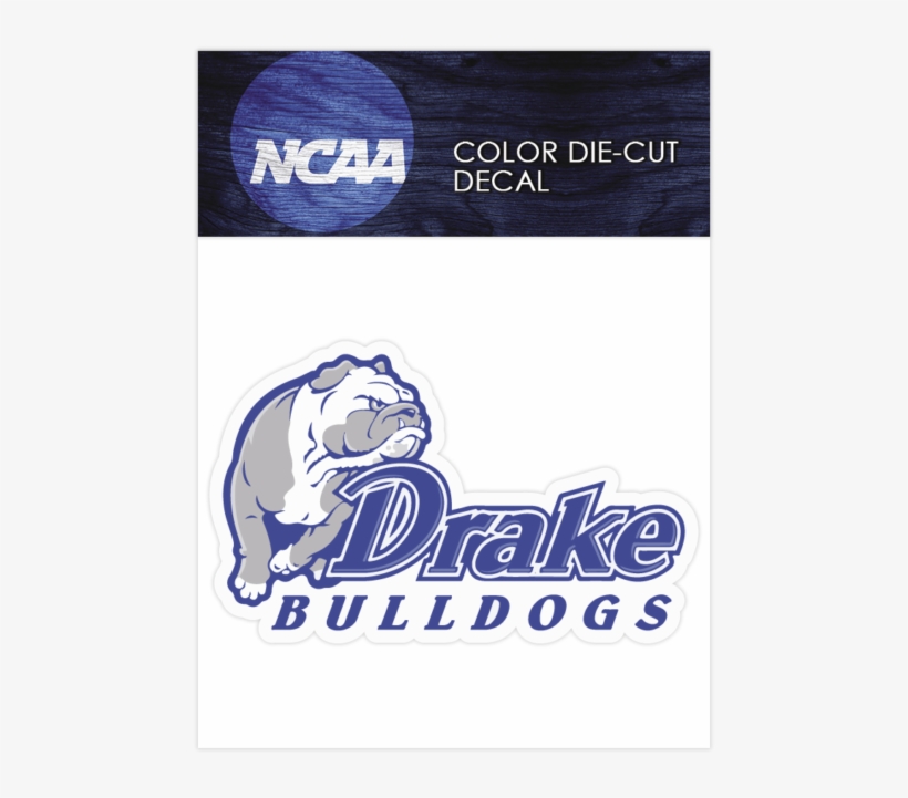 Drake Bulldogs Primary - Olde English Bulldogge, transparent png #8218226
