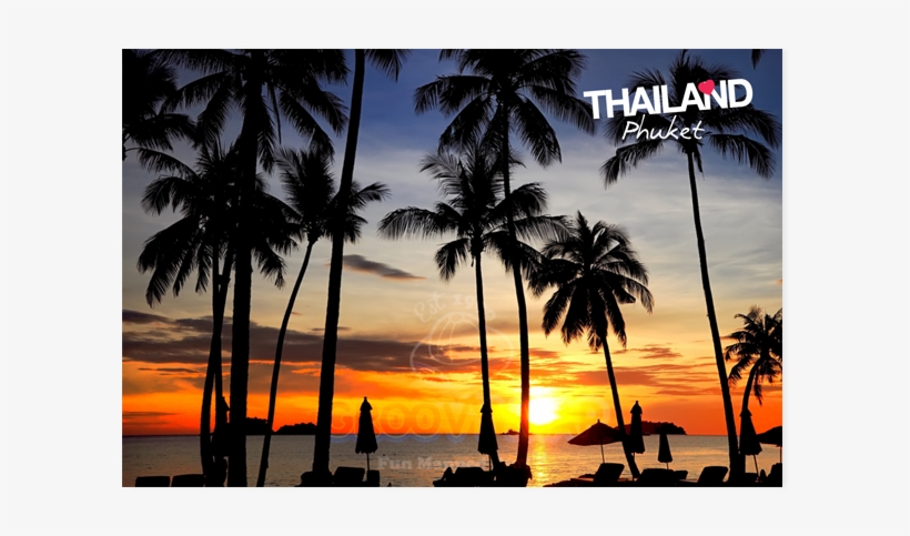 Coconut Trees And Seashore, transparent png #8218324