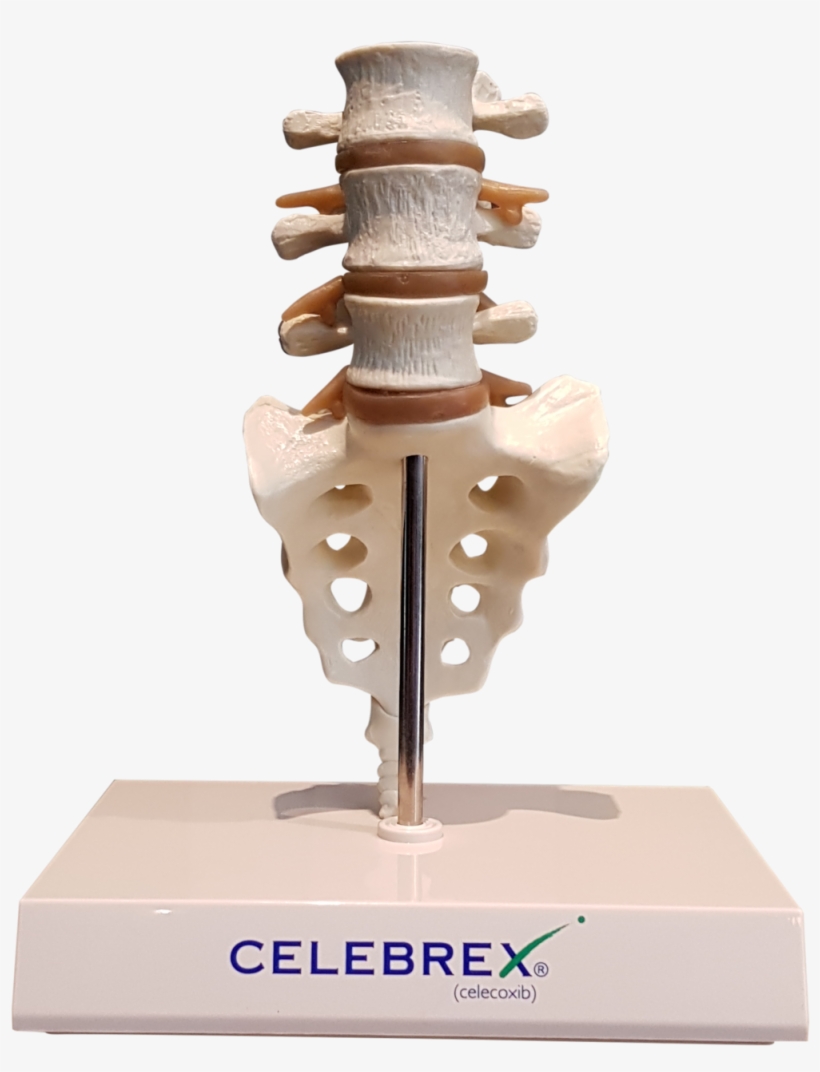 Buying Promethazine From Canada - Celebrex, transparent png #8218702