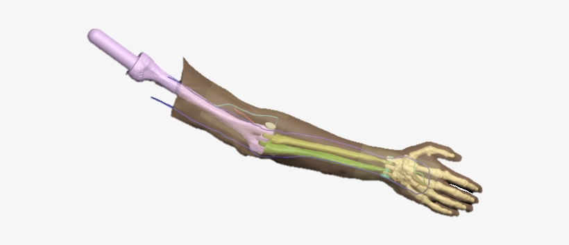 Detailed User Manual - Bowie Knife, transparent png #8221289
