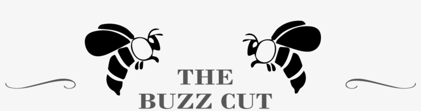 The Buzz Cut No Background - Burberry, transparent png #8221799