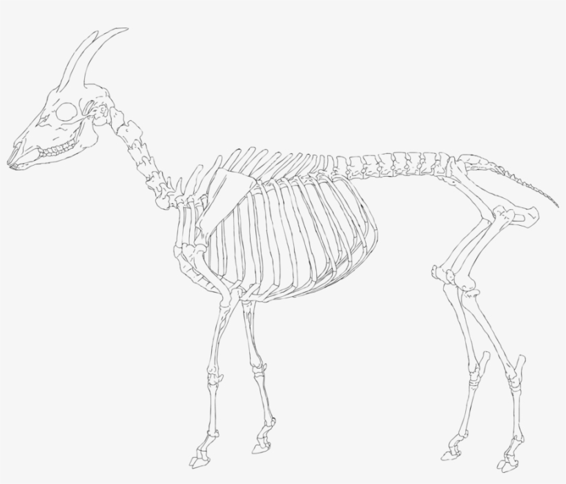 Sketch, transparent png #8224874