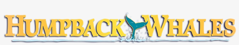 Ice Skating, transparent png #8225070