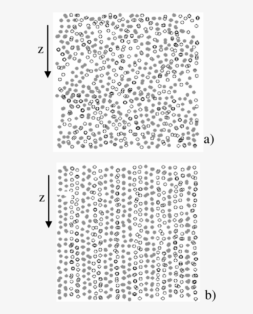 Computer Simulation Snapshots For A Two-dimensional - Animal Print, transparent png #8226911