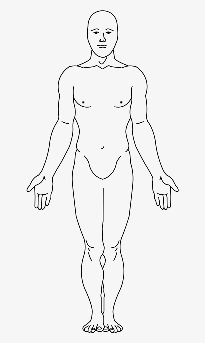 Terrans Are Physically Similar In Appearance To Natural - Line Art, transparent png #8227842