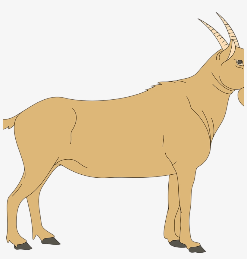 Goat Clipart 19 Goat Clip Royalty Free Huge Freebie - Goat Clipart Transparent Background, transparent png #8228759