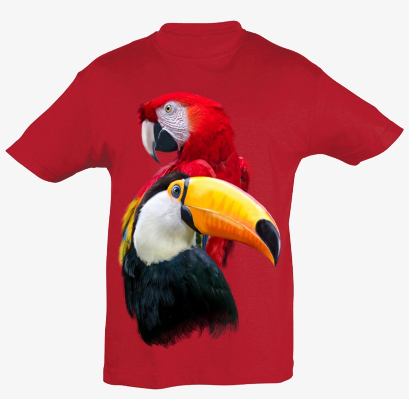 Parrot & Tucan T-shirt Kids - Toucan, transparent png #8229094