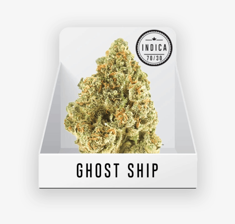 Plane, transparent png #8230715