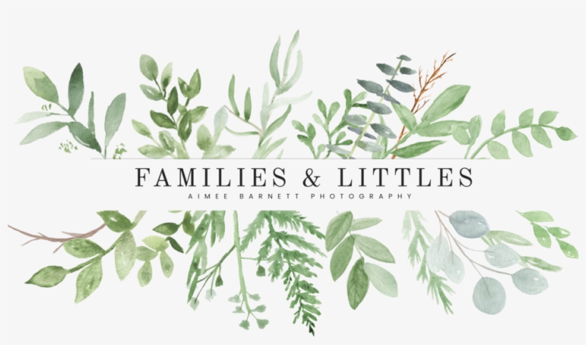 3889 Main Logo 5c553534d217f6 21912395, transparent png #8231589