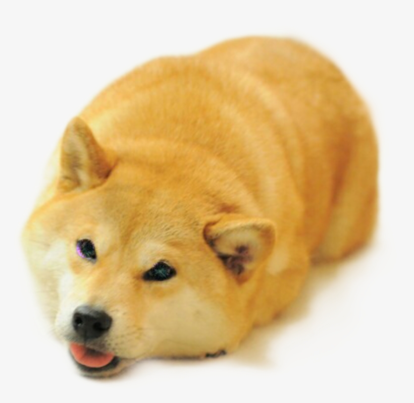 Doge Sticker - Funny Shiba Inu Face, transparent png #8231905