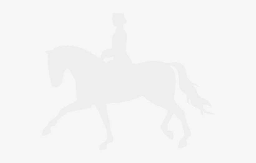 Breed Points - Stallion, transparent png #8232306