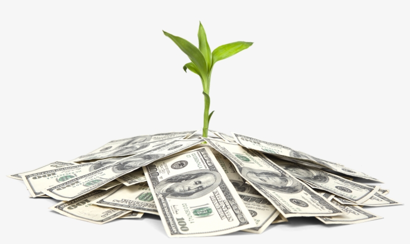 Gna Funding Services - Cannabis Business Money, transparent png #8232405