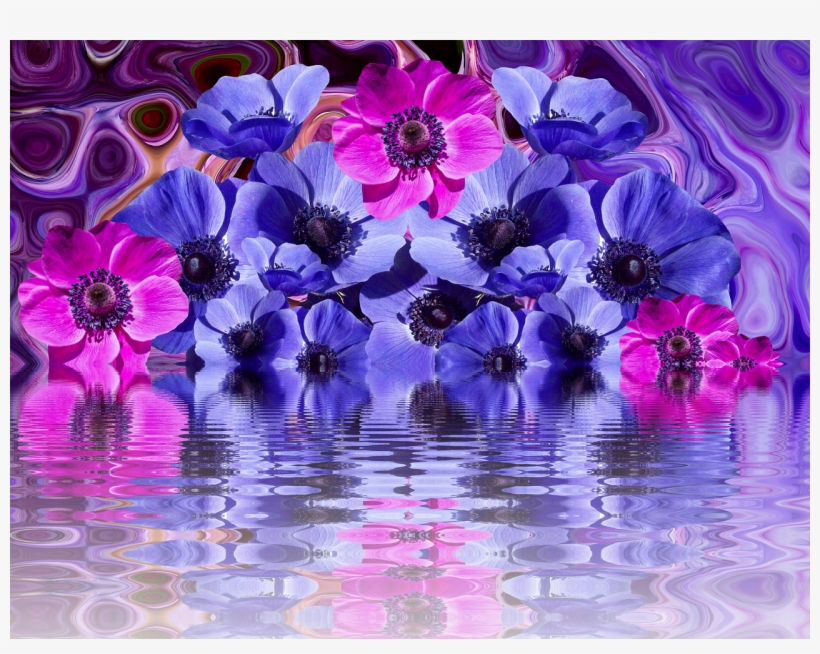 Vector Desenho De Flor Gerbera Png, transparent png #8232630