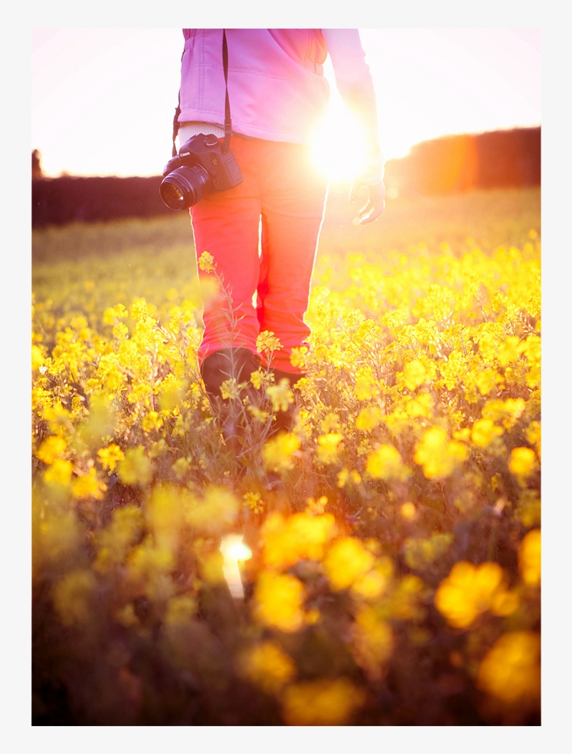 15 - Pinterest, transparent png #8234626