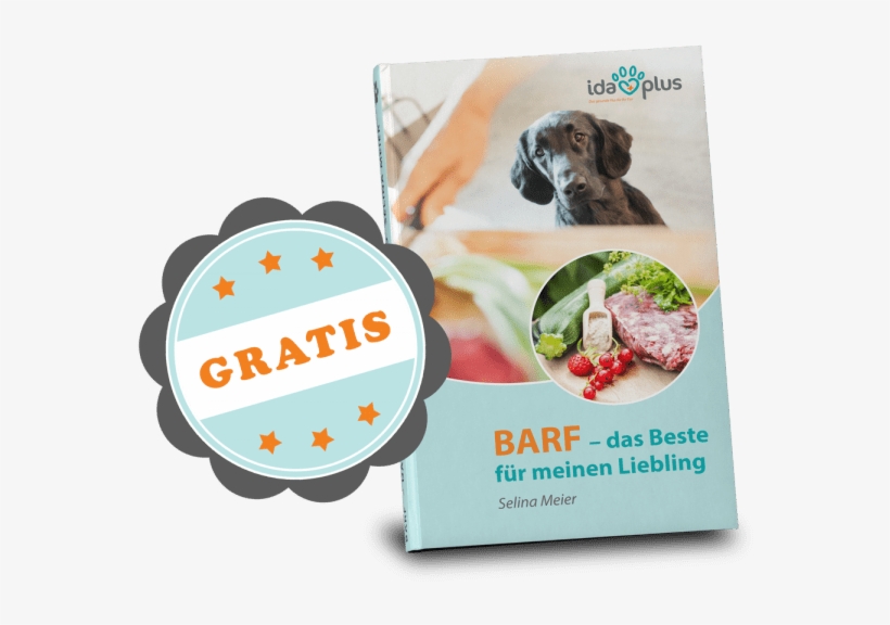Inhalt Des E-books - Graphic Design, transparent png #8235519