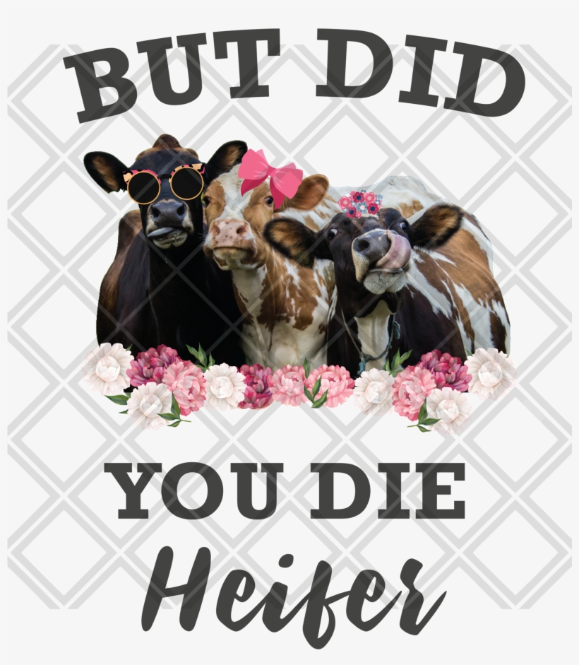 But Did You Die Heifer Cow Grey Font No Frame Htv Transfer, transparent png #8239492