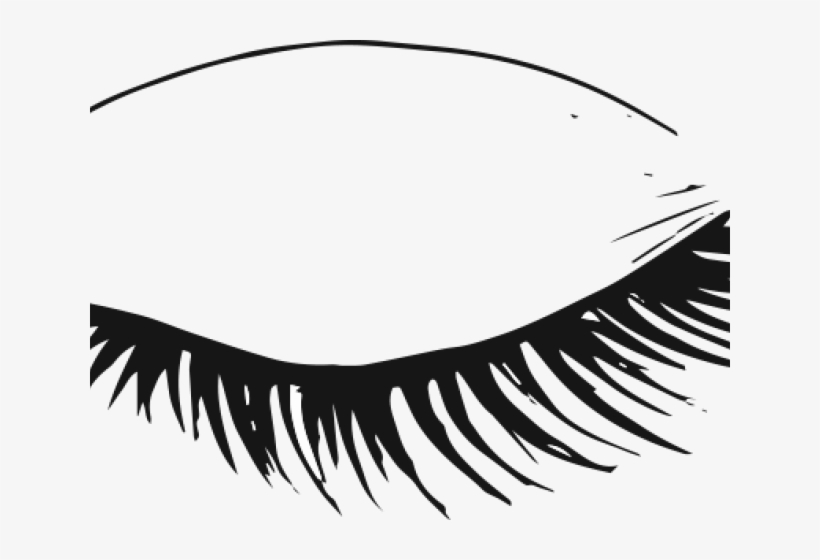 Eyelash Clipart Msp - Eyelash Extensions, transparent png #8241289