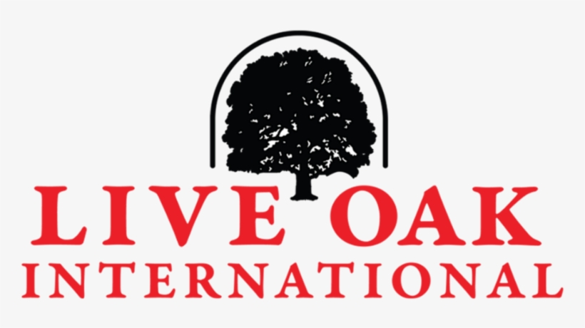 See World Class Equestrian Action Up Close - Southern Baptist Theological Seminary, transparent png #8241423