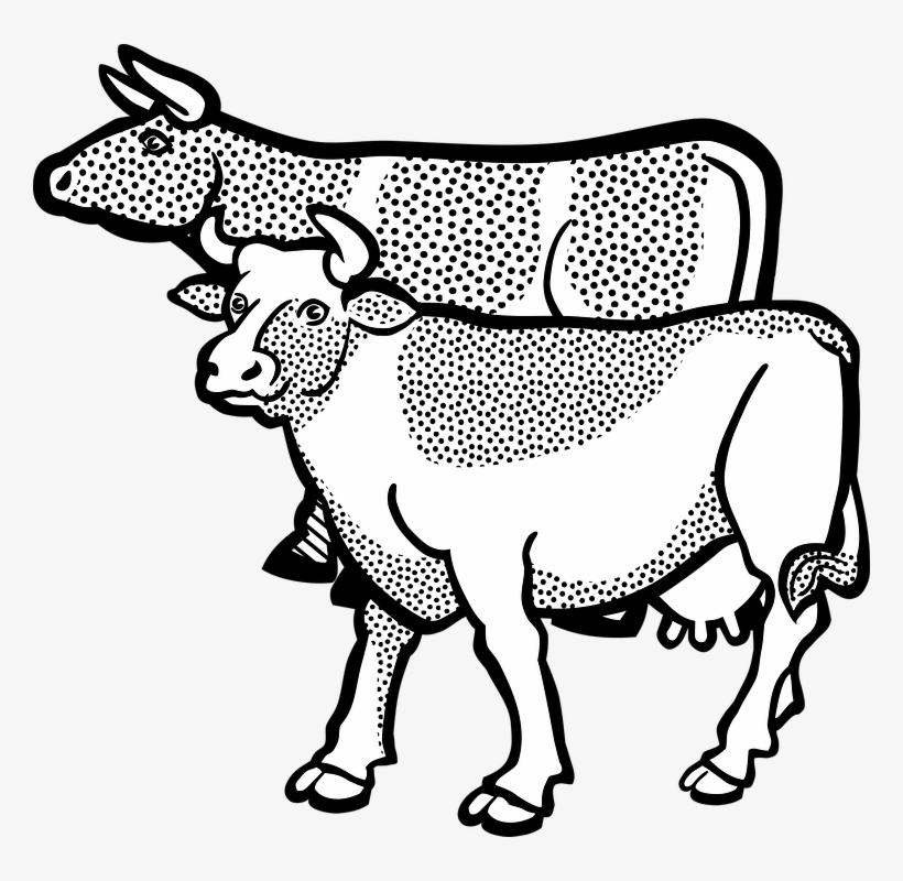 Mammal Clipart Farm Animal Head - Gambar Animasi Hewan Ternak, transparent png #8241781