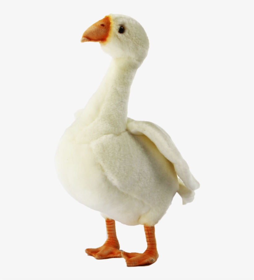 Goose - Duck, transparent png #8242326