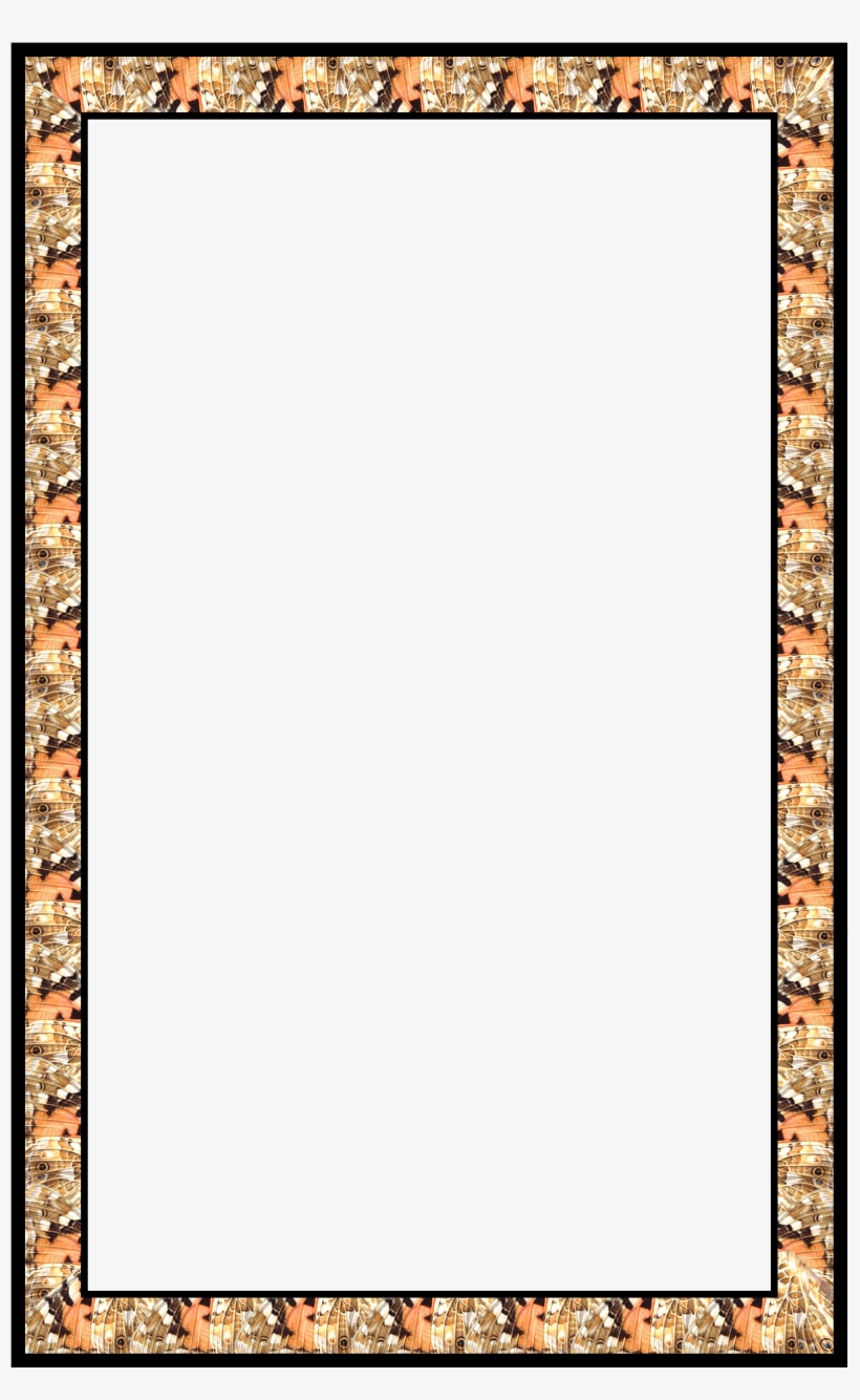 Custom Butterfly Wing Frame That I Made - Art, transparent png #8243280