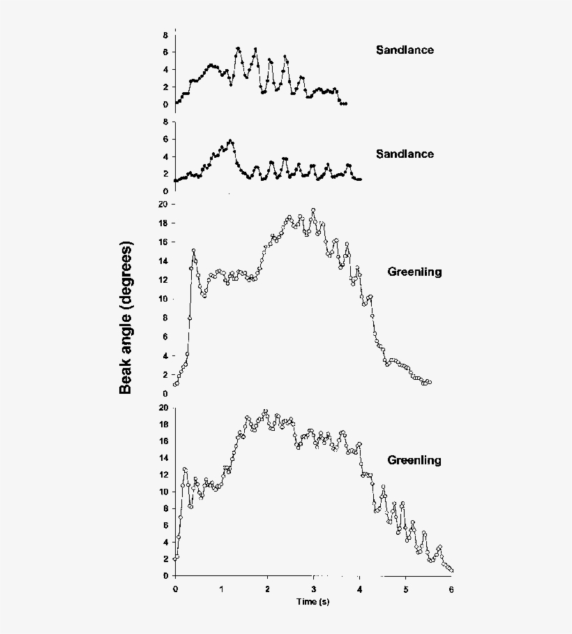 Characteristic Patterns In Beak Angle Over Time In - Diagram, transparent png #8243454