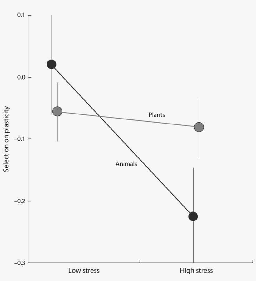 11-05 Hendry Fig - Diagram, transparent png #8243754