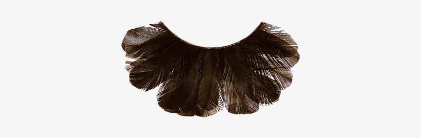 Black - Lace Wig, transparent png #8243946