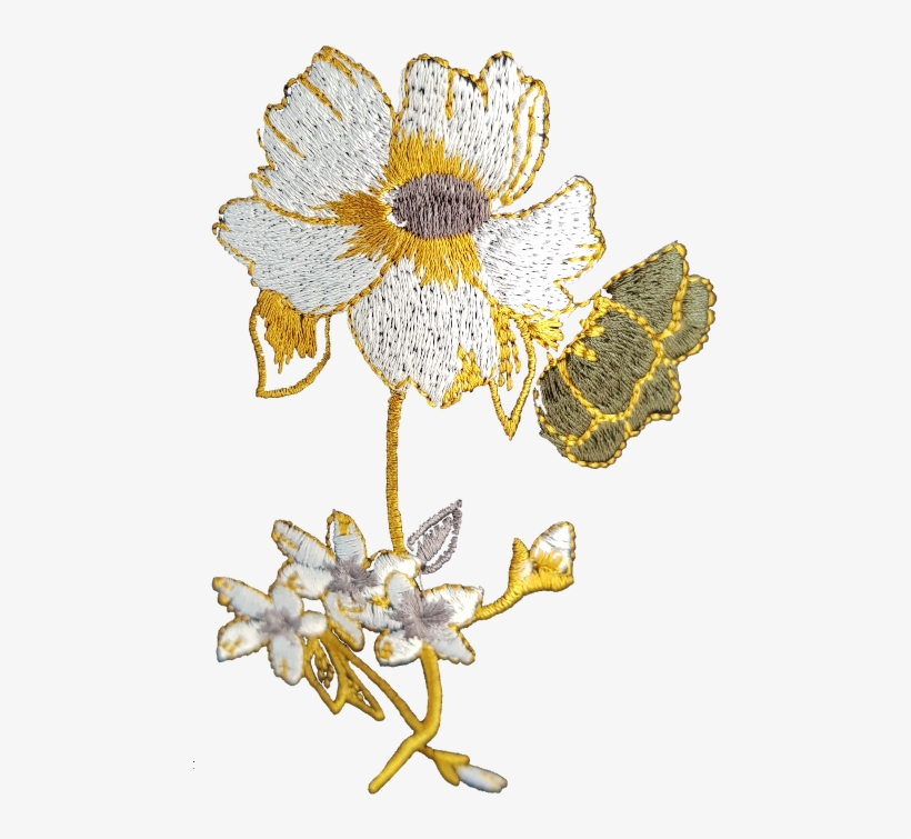 Popular - Daisy, transparent png #8244053