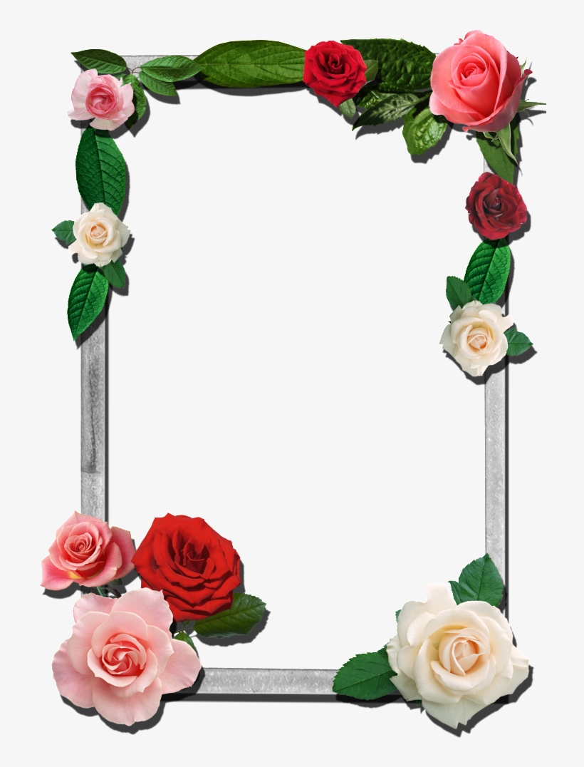 Roses This Photo Was Uploaded By Razadelumina Flower - Png Photo Frames For Photoshop, transparent png #8244192