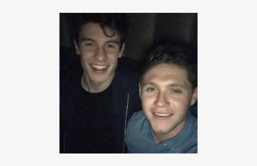 Niall Horan, Do One Direction, E Shawn Mendes Publicam - Niall Horan And Shawn Mendes, transparent png #8244835