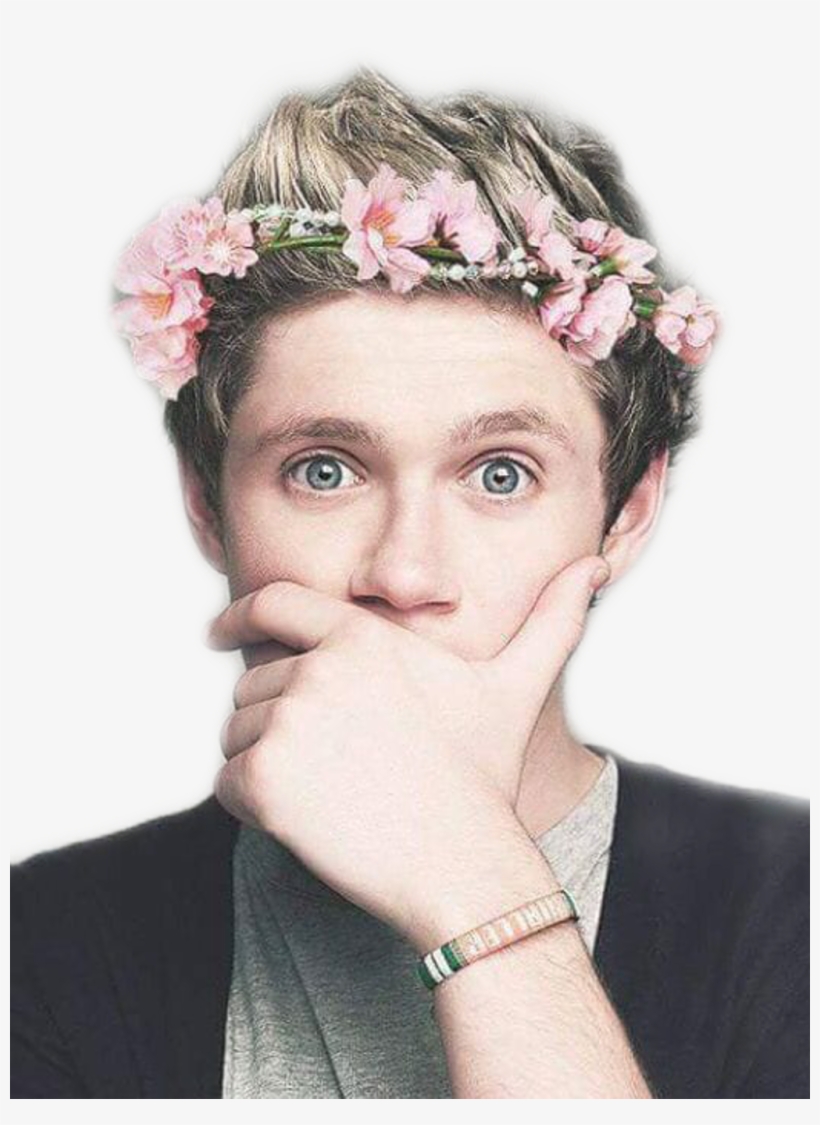 Niall Sticker - Niall Horan With Flower, transparent png #8245075